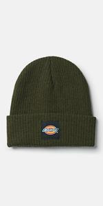 Dickies DK0A4XRY - EVADALE beanie (DT8003)